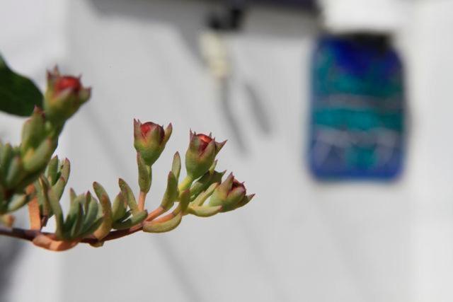 Emelce Apart Bodrum Ngoại thất bức ảnh