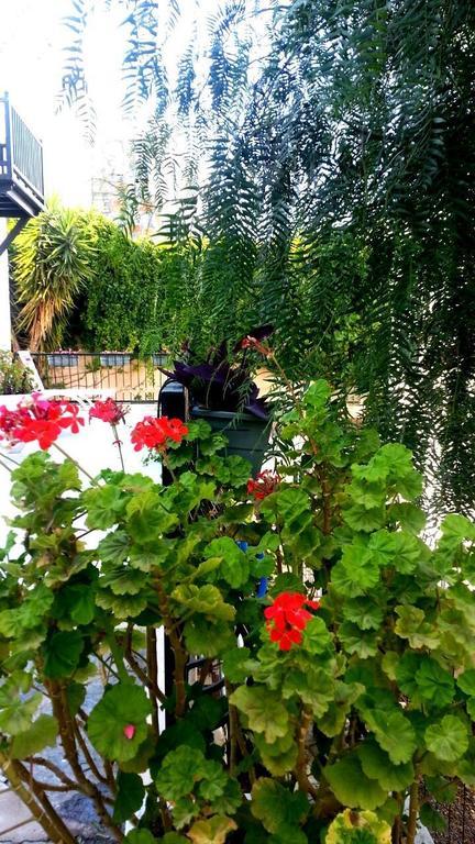 Emelce Apart Bodrum Ngoại thất bức ảnh