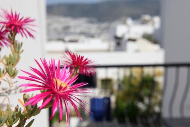 Emelce Apart Bodrum Ngoại thất bức ảnh