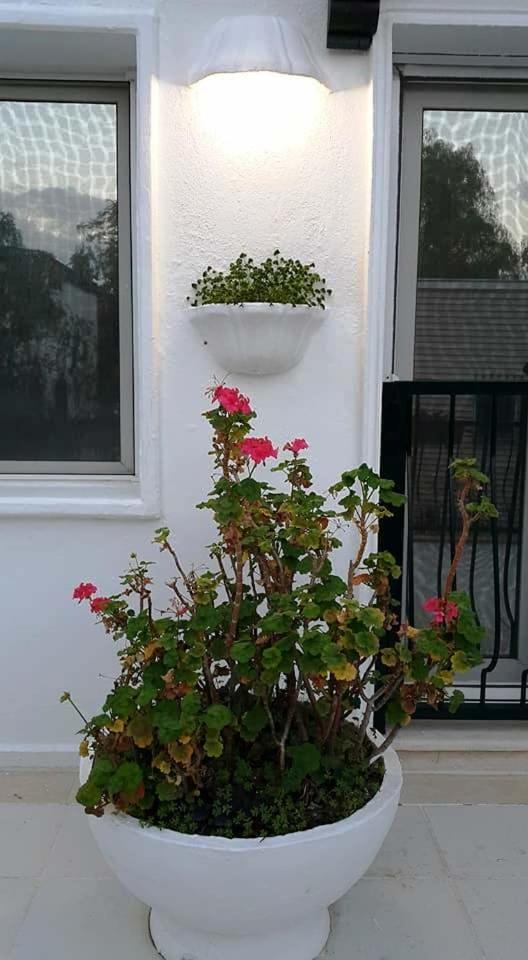 Emelce Apart Bodrum Ngoại thất bức ảnh