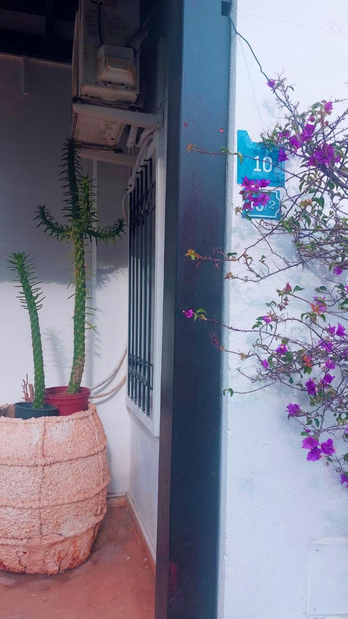 Emelce Apart Bodrum Ngoại thất bức ảnh