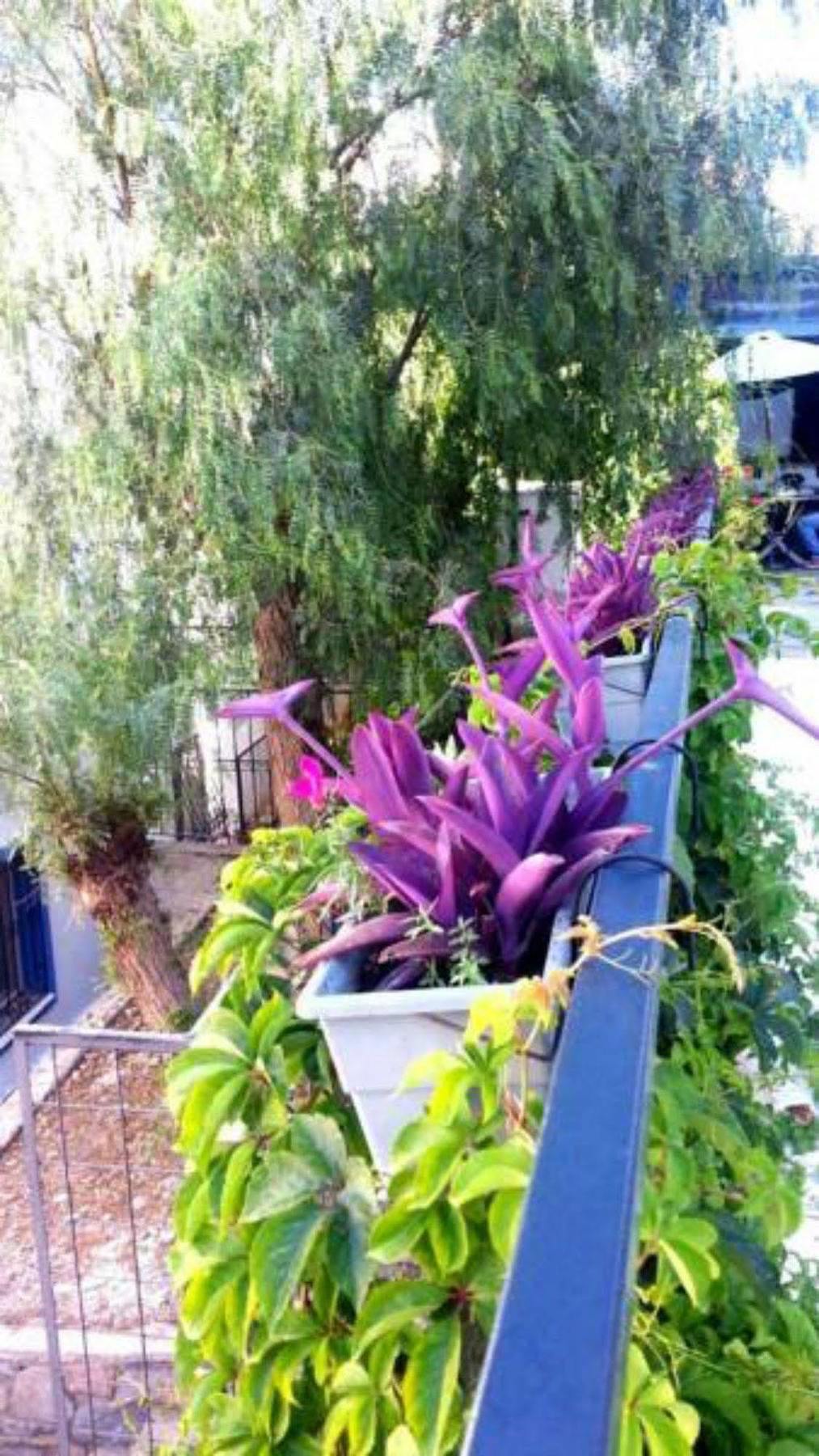 Emelce Apart Bodrum Ngoại thất bức ảnh